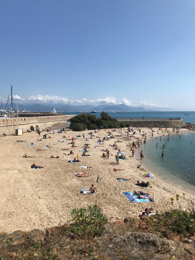 Antibes Tres Belle Situation ! Appartement Buitenkant foto