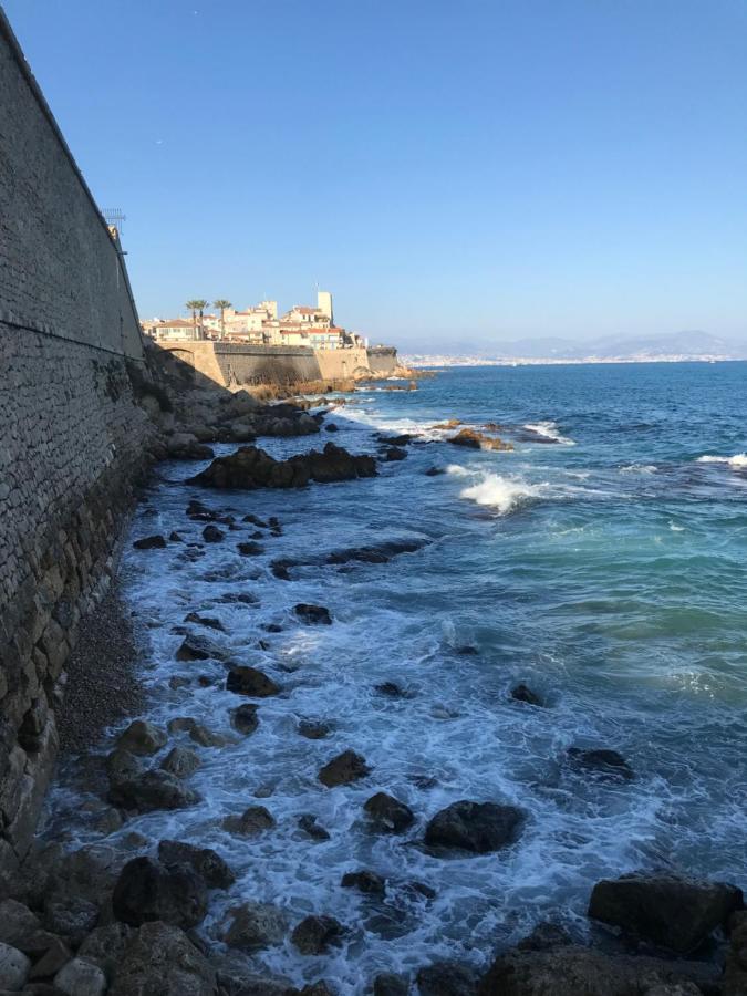 Antibes Tres Belle Situation ! Appartement Buitenkant foto